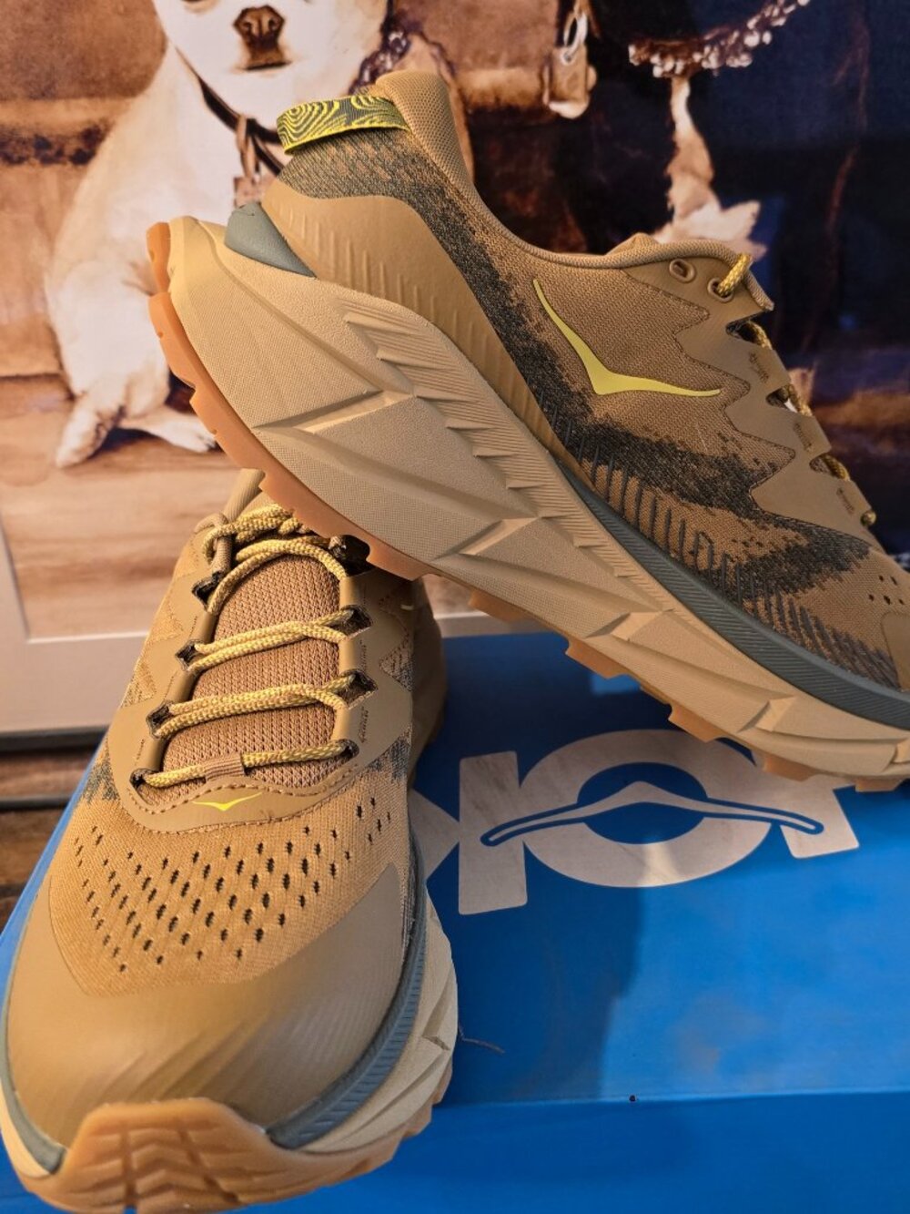 Hoka One One Skyline Float X - Men’s Size 13D - 1141610/HYW - Honey - Shoes NEW
